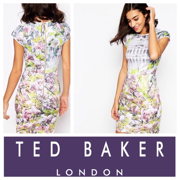 Ted Baker London Dresses & Skirts - Ted Baker Pancha Window Blosson Fitted Dress